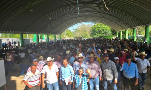 Hartos del cacicazgo en Tatahuicapan cambian a líder de la Asociación Ganadera de Tatahuicapan