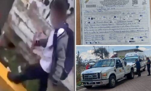 Chofer de combi hostiga a niño; autoridades sancionan el caso