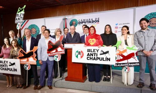 Diputada propone ‘Ley Antichapulín’ vestida del Chapulín Colorado