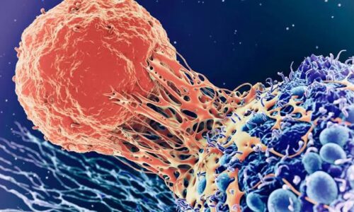 Cáncer: el desafío creciente que preocupa a la OMS