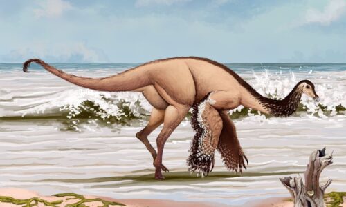 Descubren al Mexidracon longimanus, un nuevo dinosaurio en México