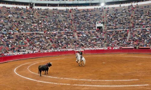 Corridas de toros sin violencia: la nueva propuesta en CDMX