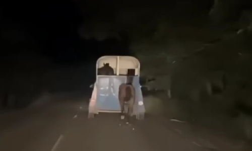 Arrastra a caballo en Veracruz; pobladores lo encaran