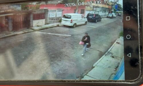 Conduce, atropella y huye: acusan a joven de encubrir muerte de mascota de su mejor amiga