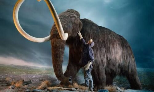 ¿Manny en Tamaulipas? Encuentran restos de mamut
