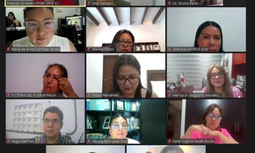 OPLE Veracruz realiza primer encuentro virtual dirigido a la Red de mujeres juzgadoras: candidatas y electas