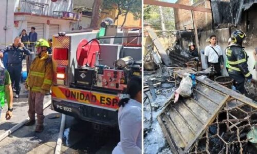 Explosión en Álvaro Obregón cobra la vida de menor y tres perritos