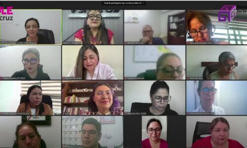 Consejera del INE imparte conferencia virtual “Más allá del 50%: El liderazgo político de las mujeres en Veracruz”