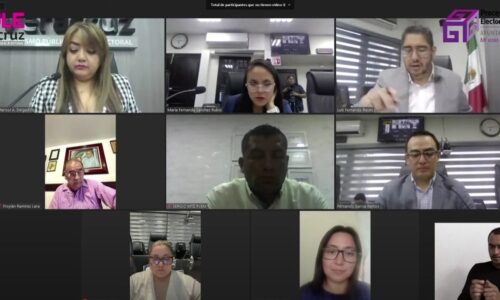 OPLE Veracruz aprueba comisionar a personal del SPEN para jornada electoral y sesión de cómputo del PELO 2024-2025