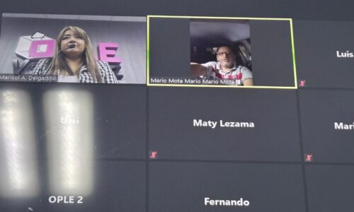 Consejo General del OPLE Veracruz aprueba la designación de personas funcionarias en los consejos municipales