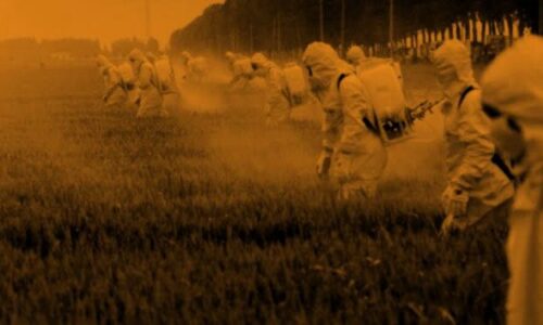Acusan a científicos chinos de agroterrorismo en EE. UU.
