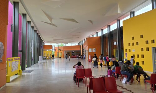 Rocío Nahle le cumple al CRIT Veracruz y le renueva convenio de 20 mdp