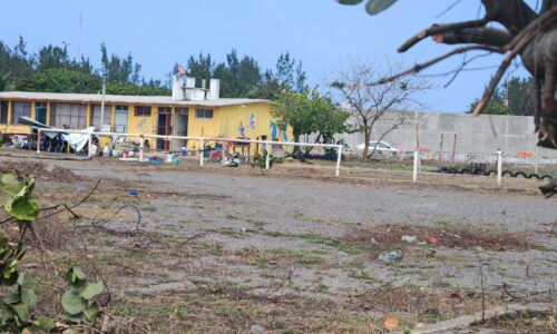 Fundación Yaritza realiza Venta con Causa para continuar con equinoterapias