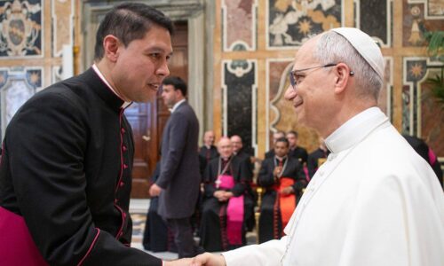 Mexicano coordinará los viajes del papa León XIV