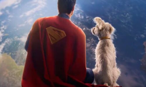 Krypto inspira un boom en la búsqueda de adopciones caninas