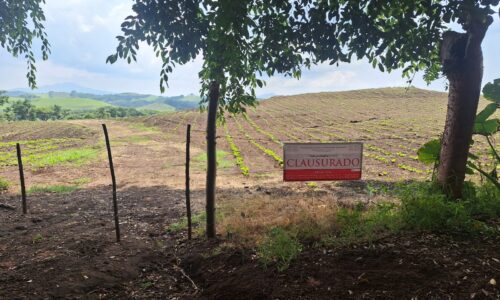 Clausura PROFEPA sembradío expuesto por Rafa Fararoni que contaminaba cuerpo de agua en San Andrés Tuxtla