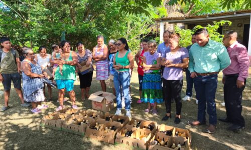 Diputada Elizabeth Cervantes entrega apoyos productivos en comunidades de Álamo Temapache