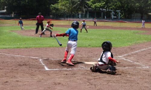 Medellín sede de Campeonato Nacional Infantil de Béisbol