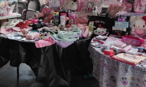 Expo Hello Kitty tendrá edición en Córdoba y Xalapa