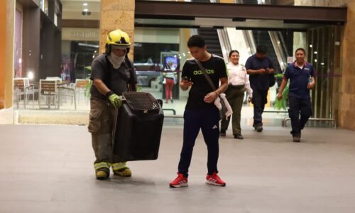 Nutria se mete a fuente de centro comercial en Boca del Río, es rescatada por PC