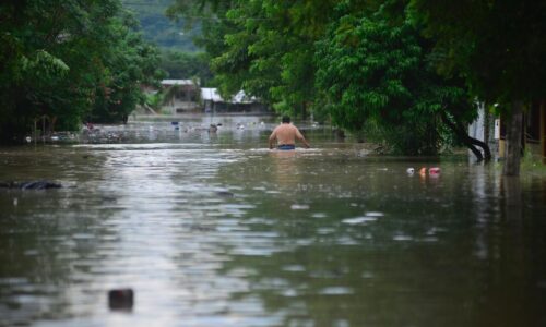 ASF reprogramará auditorías en municipios de Veracruz afectados por lluvias: anuncia diputado Javier Herrera Borunda