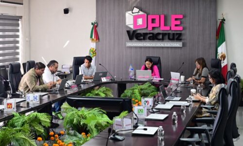 La plataforma “Estadística y Datos Abiertos” del OPLE Veracruz impulsa la transparencia y la innovación desde lo local