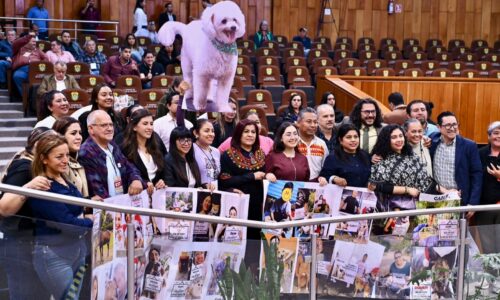 Congreso eleva a rango constitucional la protección a los animales