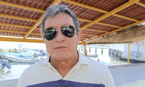 Debido a cambio climático IMIPAS tendrá que cambiar fechas de veda del pulpo en Veracruz