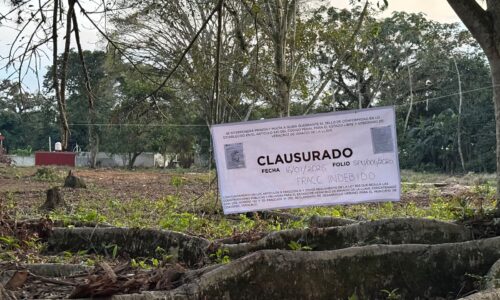 Ayuntamiento de Coatepec atiende denuncias ciudadanas y descarta obras irregulares en zonas naturales