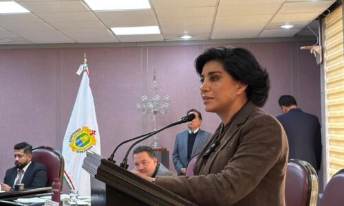 Diputada Elízabeth Morales, presentan iniciativa para fortalecer la protección de niñas, niños y adolescentes en espacios de hospedaje en Veracruz