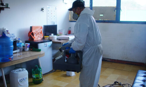 Refuerzan control sanitario en el Rastro Municipal de Coatepec