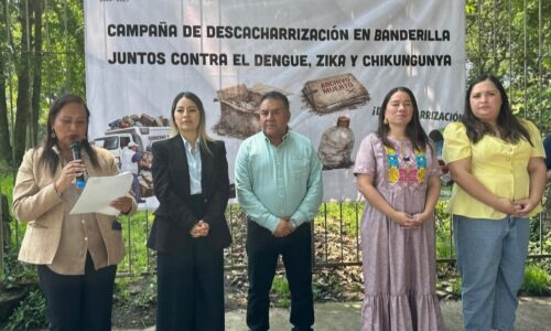 LANZA BANDERILLA CAMPAÑA DE DESCACHARRIZACIÓN PARA COMBATIR CRIADEROS DEL MOSCO TRANSMISOR DEL DENGUE