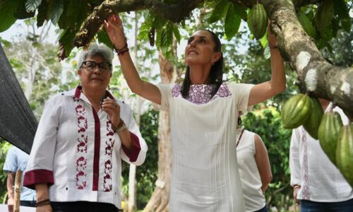 PRESIDENTA CLAUDIA SHEINBAUM ANUNCIA PROYECTO “PRECIO JUSTO PARA EL CACAO DE TABASCO”; IMPULSARÁ PRODUCCIÓN Y EXPORTACIÓN DE CHOCOLATE BIENESTAR