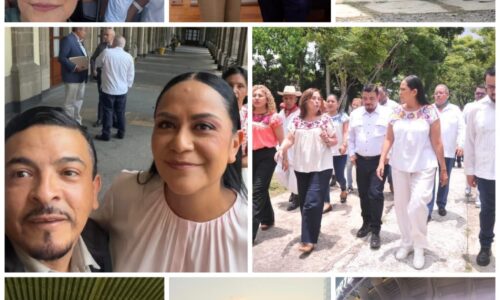 Ariadna Montiel, lo que yo pienso: Juan Javier Gómez Cazarín
