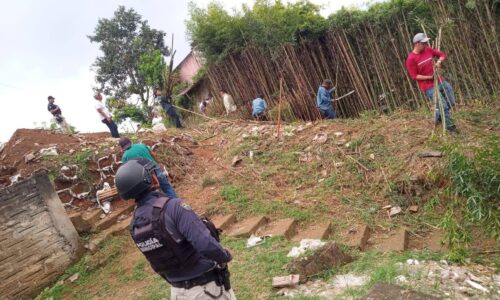 Vecinos denuncian presunta falta de transparencia en poda de área verde en Xalapa
