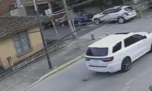 Indignación por presunto caso de maltrato animal en Las Ánimas