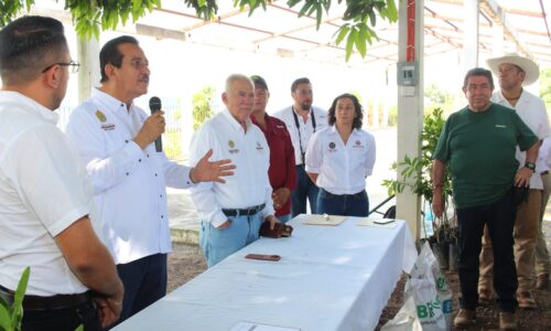SEDARPA impulsará capacitación, apoyos y comercialización para productores de café y limón en Veracruz
