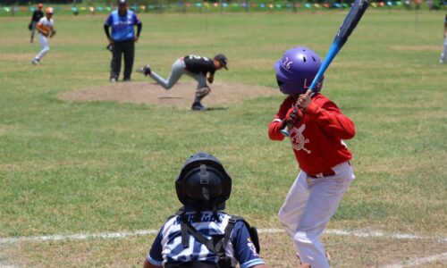 Lucha legal por la Liga Beto Ávila: Denuncian arbitrariedades del Ayuntamiento de Boca del Río que ponen en riesgo el béisbol infantil