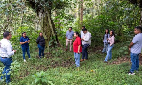 Refuerzan acciones de restauración forestal y presentan avances de conservación en Áreas Naturales Protegidas de Veracruz