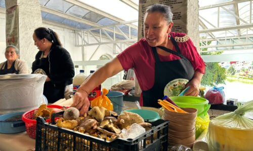 Hongos, sustento de comunidades; SEDEMA llama a protegerlos