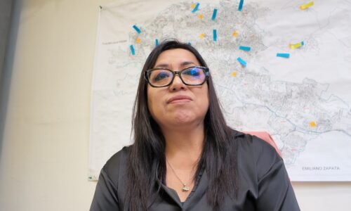 Descarta Salud de Xalapa redadas y sacrificio de animales; reporta mil 280 atenciones
